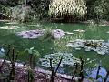 21a - Jardin Tropical 002